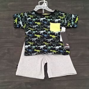 American hawk little boys dinosaurs. 18 months